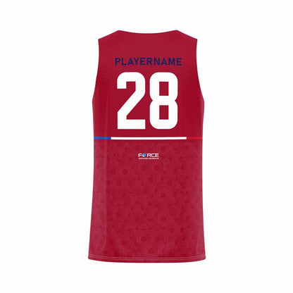 MAILLOT RÉVERSIBLE FRANCE ULTIMATE (FFFD)
